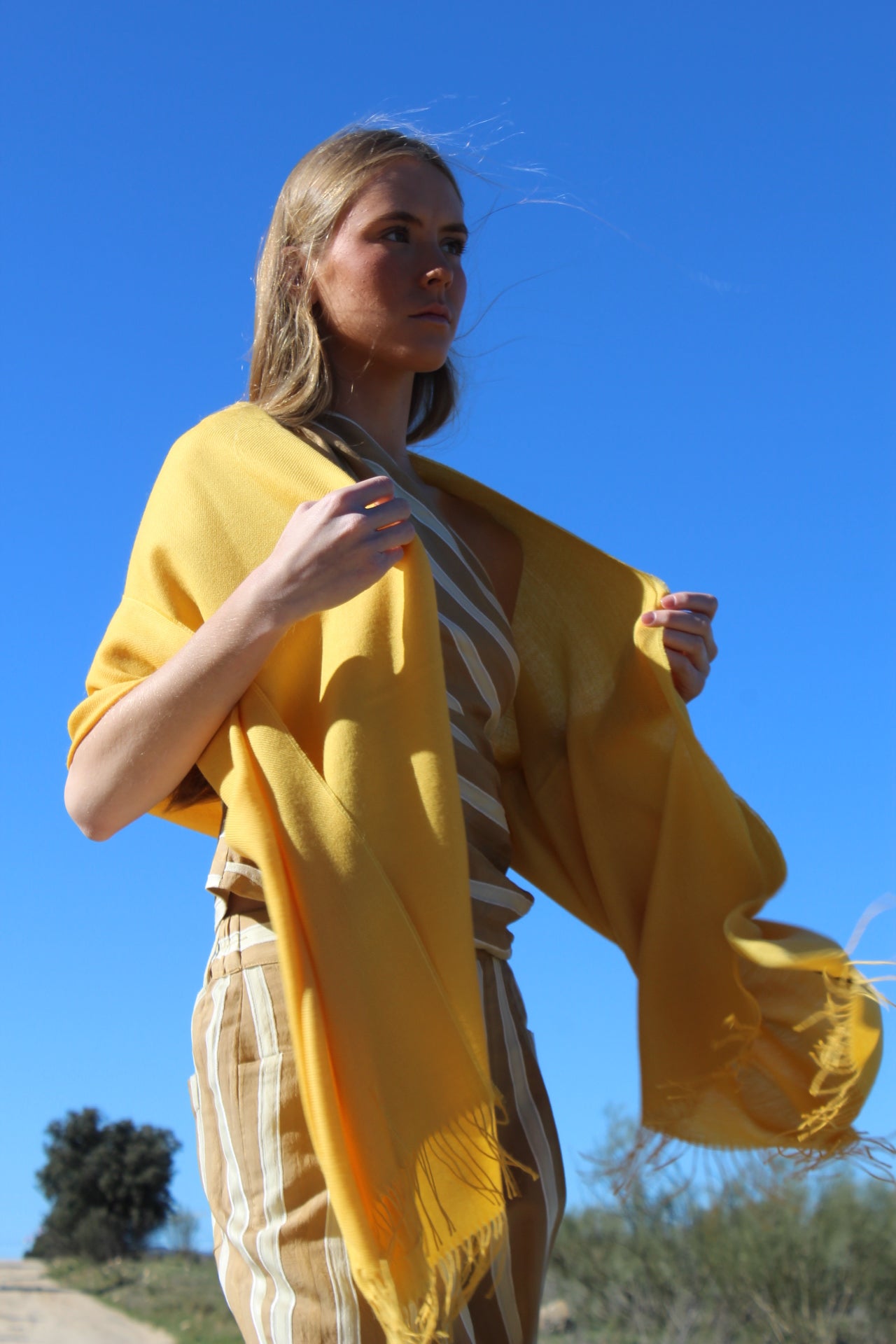 Chal 100% Baby Alpaca Amarillo