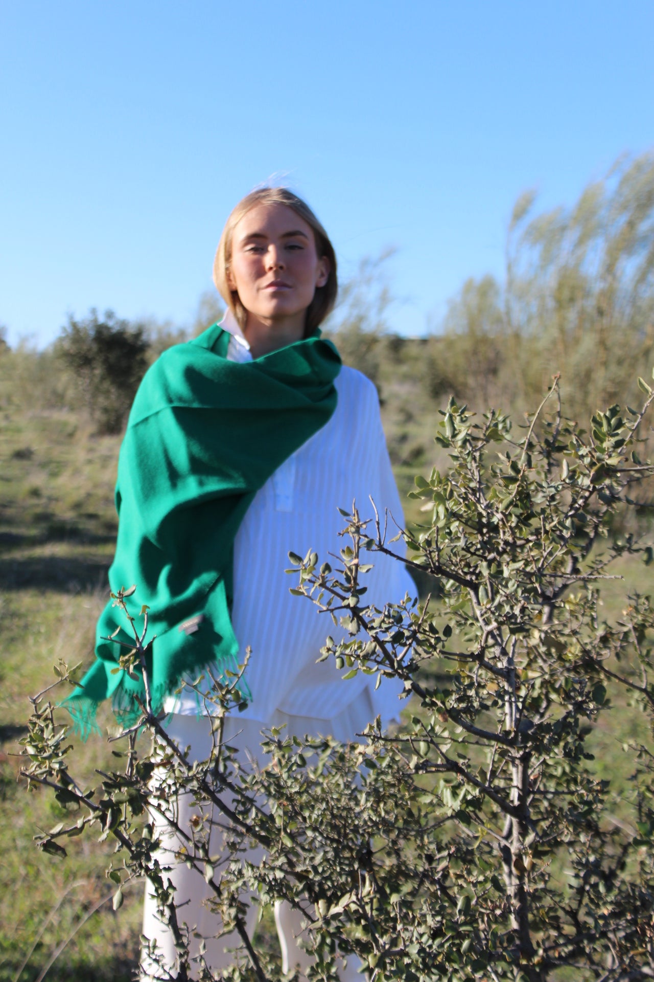 Chal 100% Baby Alpaca Verde